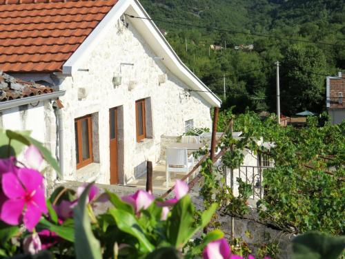 Estate & Winery San Duyevo in Riječani