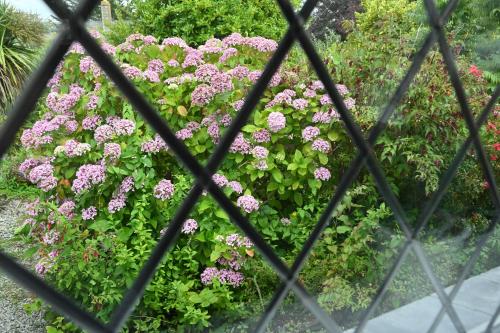 Halwell Lodge - image 2