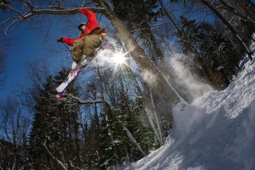 Snowcrest