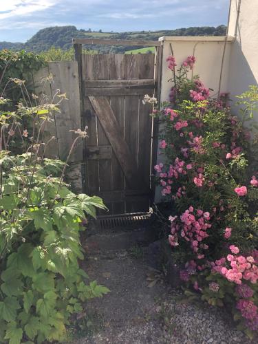 Vine Cottage - image 10