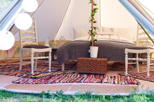 Lloyds Meadow Glamping