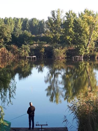  Békás nyaraló, Unterkunft in Tiszaug