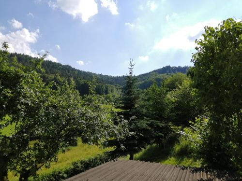 Ferienhaus Schleif 3.5km von Heddesbach entfernt