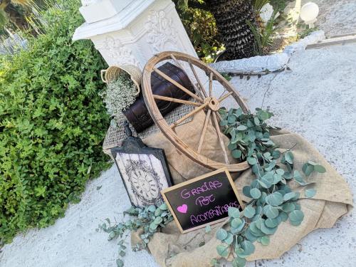 Los Bronces - image 9