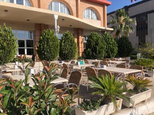 Los Bronces - image 11