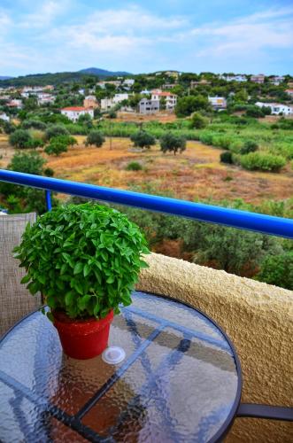 Double Room with Terrace
