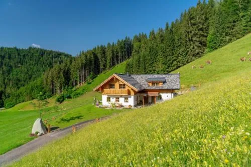 Almchalet Linharterhof in Haus im Ennstal, Österreich