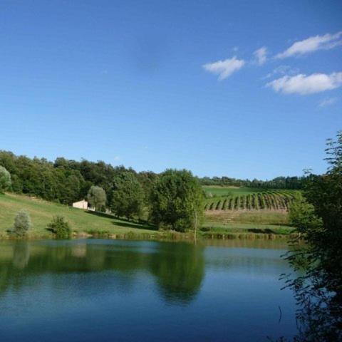 Agriturismo San Bernardino Del Lago Rapolano Terme Italy=