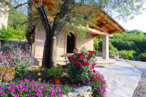 Agriturismo la Tana