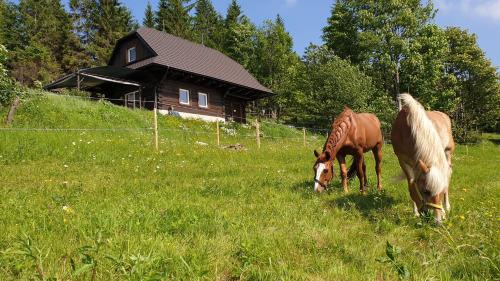 PANORAMA RANČ - Chalet - Ježíci