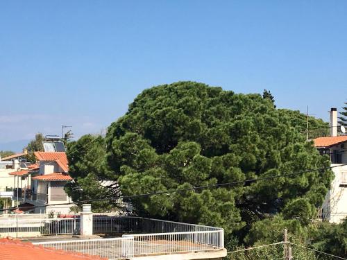  Laertou Studio B5 in Patras