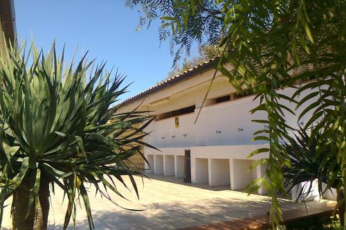 Camping Valle dei Templi - image 4