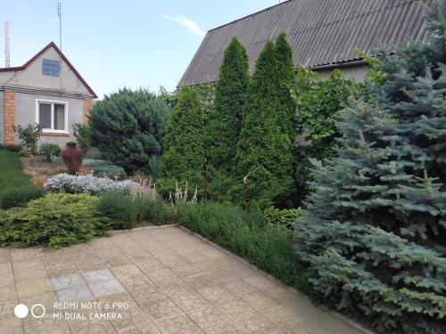 Holiday Home in Molodezhnoye