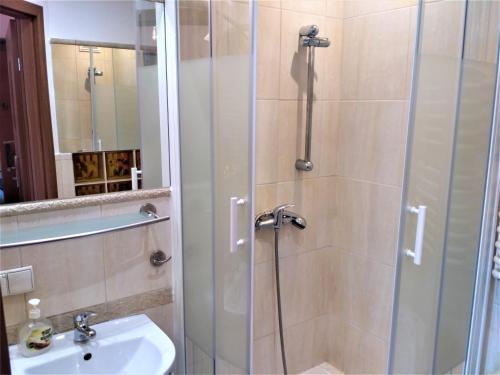 Akt Studio Apartment City Centre, Cracovie (photo 6)
