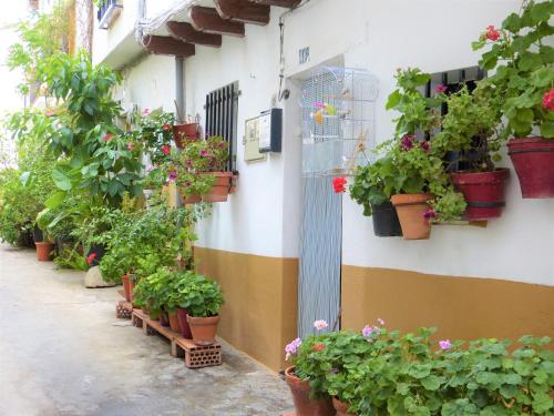 HOSTAL CANDELEDA - image 13