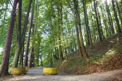 Apartman NikolicBanja VrucicaTeslic - image 6