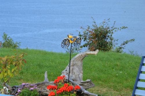 Langenuen Motel & Camping - image 5