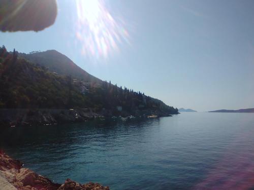  Rooms Lucija in Trsteno