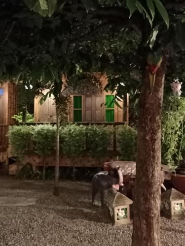 J&J Guesthouse