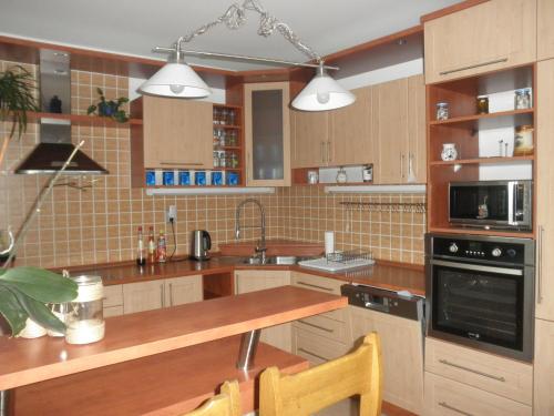 PENZION VLASTA - Apartment - Zlín