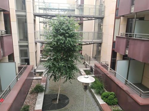 Apartments 4 You 4