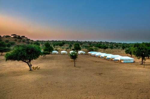 Rohida Camp Osian