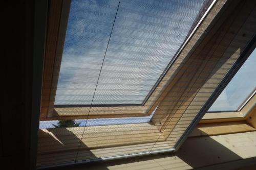 Albatros in Schoorl met Bregtdorp