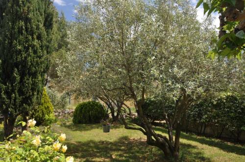 Les 5 Oliviers (Chambres d'hôtes) chambre d'hôte Abeilhan