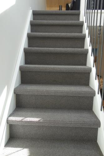 Albatros in Schoorl met Bregtdorp