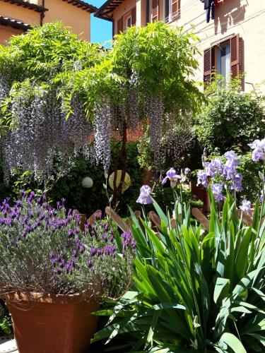 Al Giardino Di Alice - image 11
