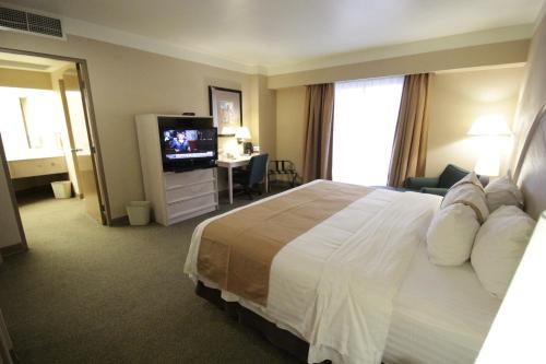 210886968 Holiday Inn Leon-Convention Center by IHG