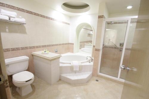 Holiday Inn Leon-Convention Center by IHG in León, Mexico