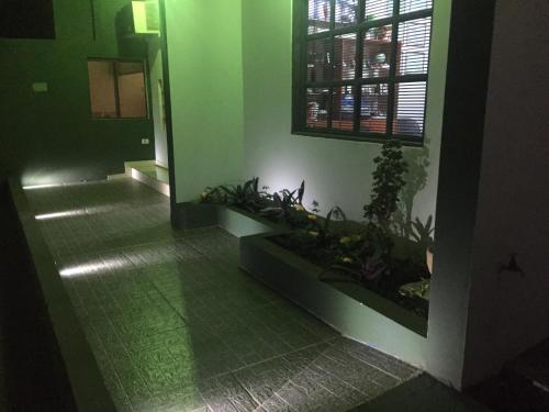 CENTRAL PARK CDE CENTRAL PARK CDE