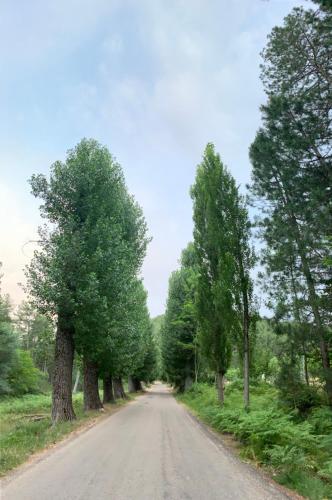 Apartamento Rural Sierra de Segura