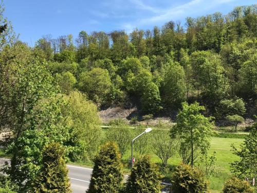 Ferienhaus am Wald