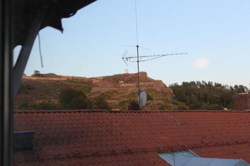 O Brian Hostel - image 11