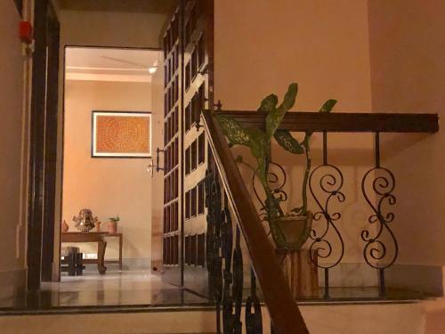 Bougainvillea – Guwahati, TX