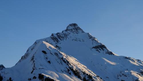 Alpenappartement Bergkönig