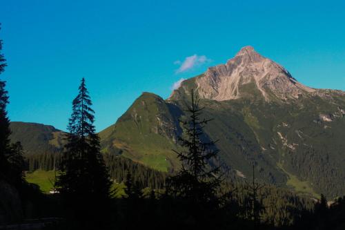 Alpenappartement Bergkönig