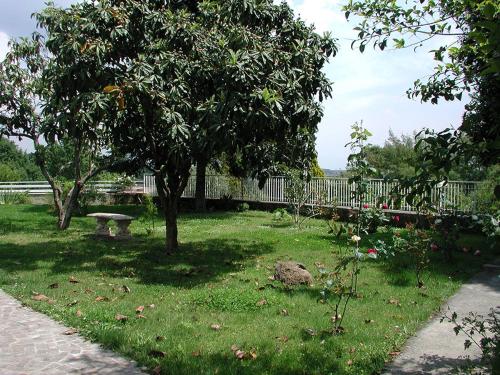 Oasi di Pace - image 2