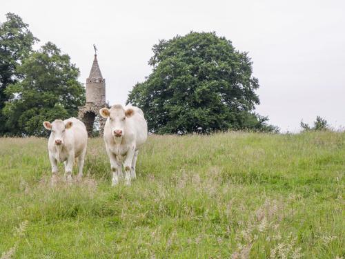 The Milking Barn