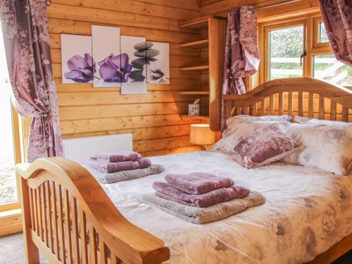 Manor Farm Lodges - Dragon Lodge in Bettws Cedewain