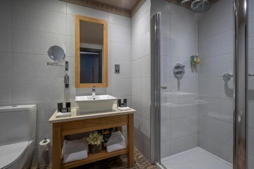 Boyne Valley Hotel & Country Club - image 4