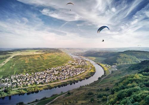 Rochter Landhotel - Accommodation - Zeltingen-Rachtig