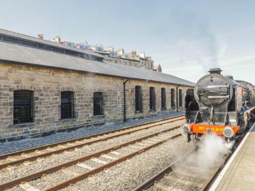 Mallard Engine Shed - image 10
