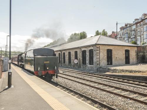 Tornado Engine Shed - image 2
