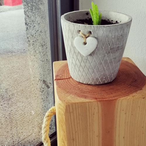  Adega Fraga in Santa Luzia