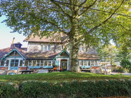 Duck Cottage - image 13