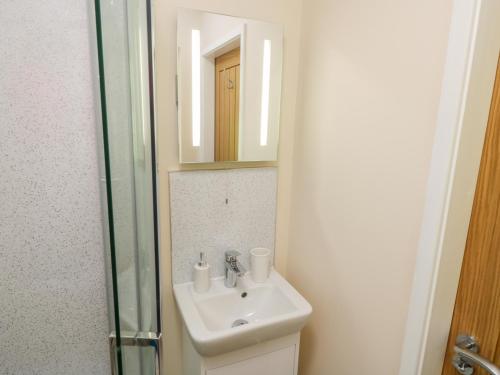 Ryedale Country Lodges - Willow Lodge - image 7