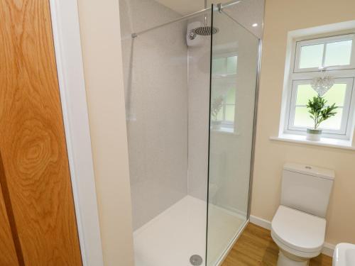 Ryedale Country Lodges - Willow Lodge - image 4